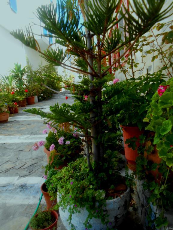 Angeliki Pension Katapola Exterior photo